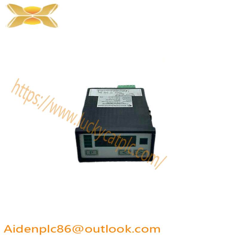 NEGELE PROZESSORANZEIGE DPM-GS-2GW-S Digital Display