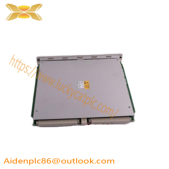 NELES AUTOMATION A413325