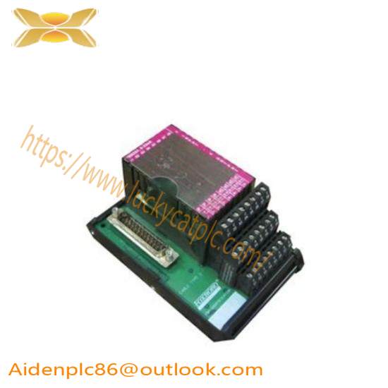 P0916AE  I/A Series Module  Foxboro