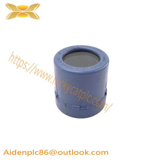 Rosemount 01151-0389-0001 REV. A Explosion Proof Cover