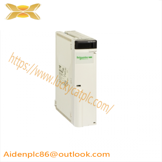 SCHNEIDER AS-BDAP-218