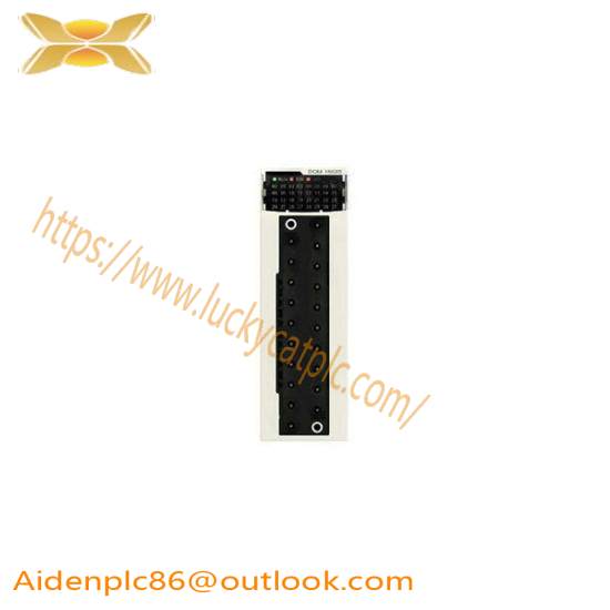 Schneider BMXDDM16025 discrete mixed IO module