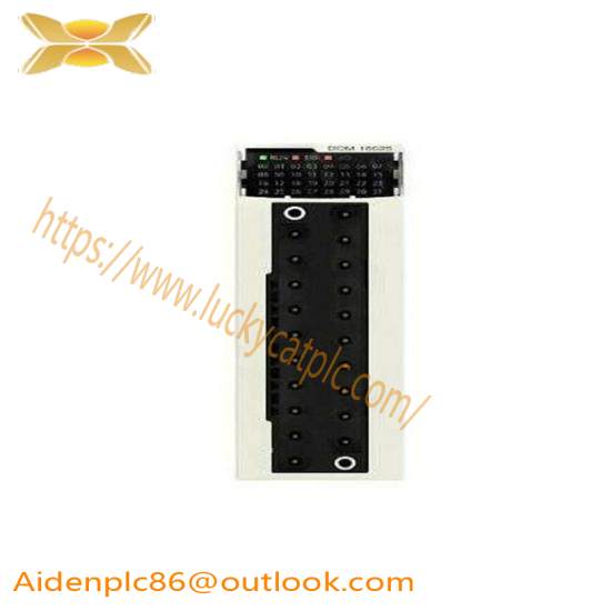 Schneider BMXDDO1602 discrete output module