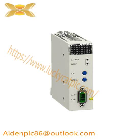 Schneider BMXEIA0100 master module
