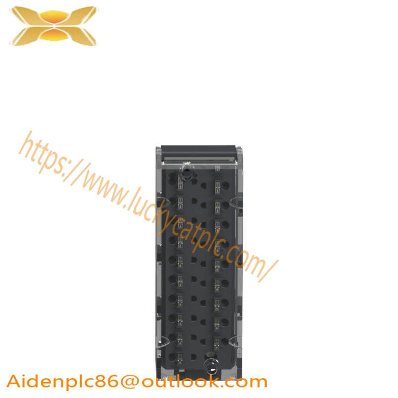 Schneider BMXFTB2020 20-pin removable spring terminal blocks