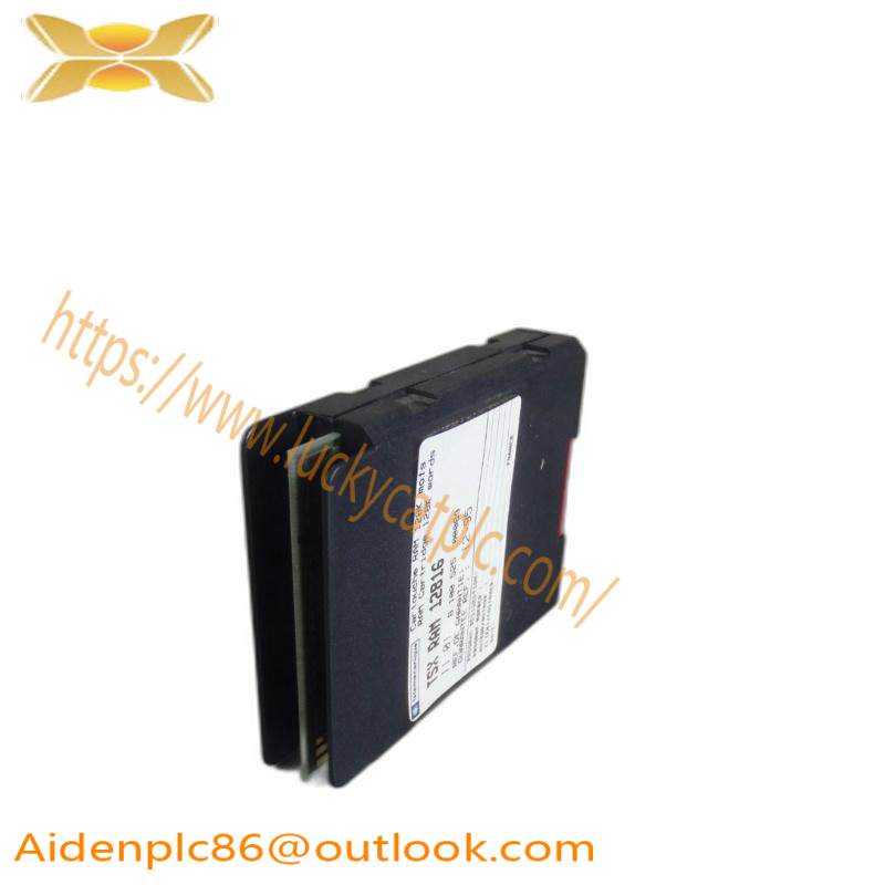 Schneider TSXRAM12816 MEMORY MODULE