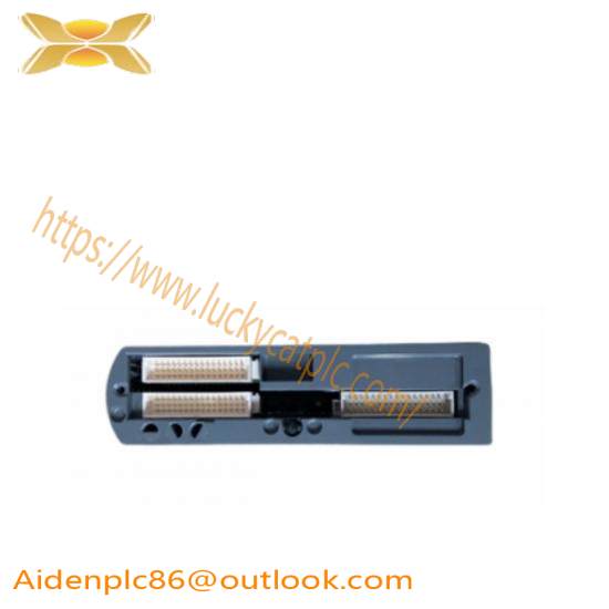 T9901  Module