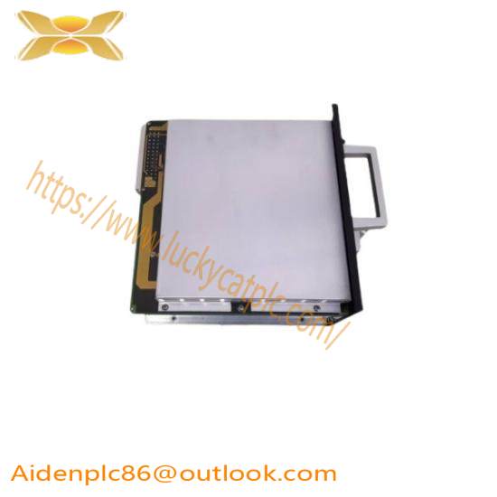 TEAM BL0170 PC0010-P
