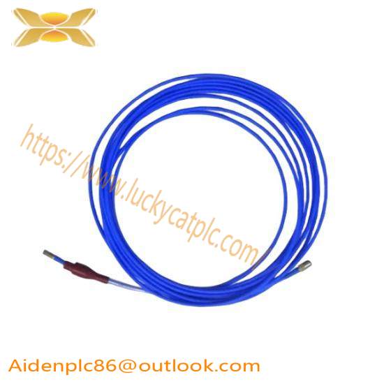 TM032-A00-B00-C00-D00-E00-F00-G00  Bently Nevada Extension Cable