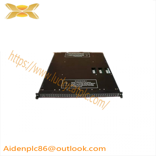 TRICONEX 9566-810