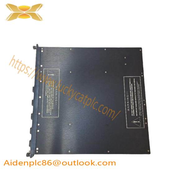 TRICONEX 4351B