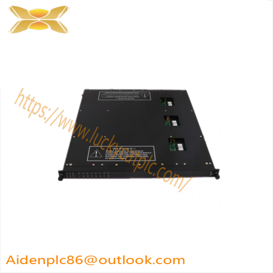 TRICONEX 9561-810