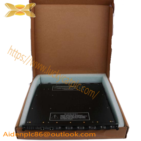 TRICONEX 9761-210