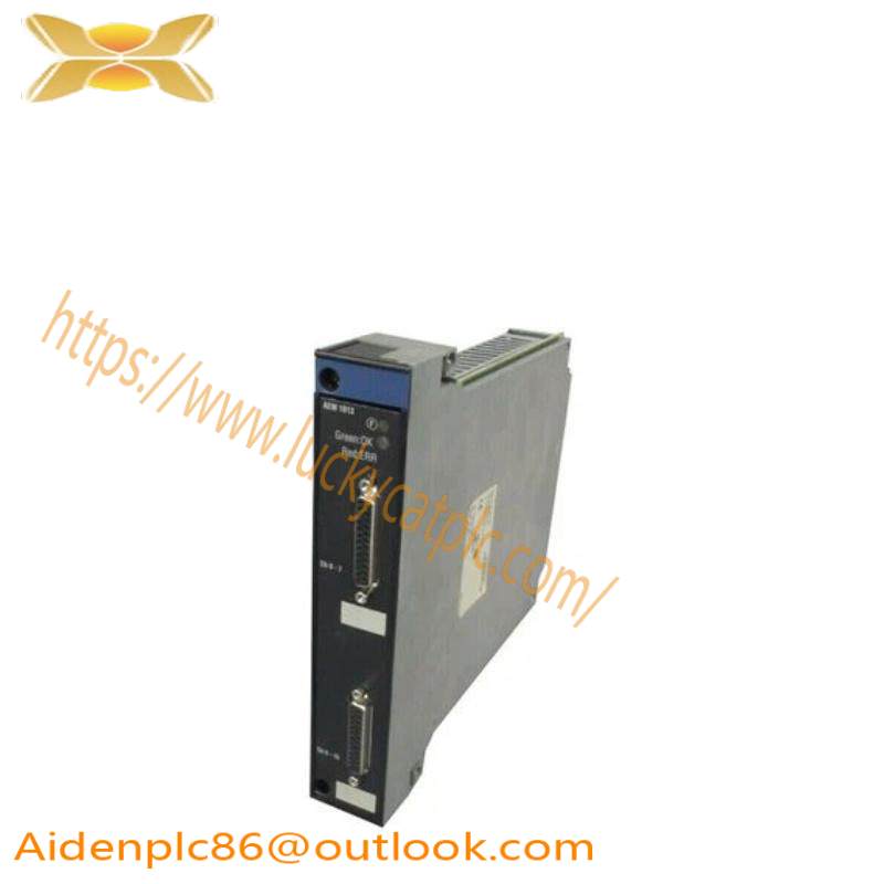 Schneider TSXAEM1613 TSX-AEM1613 Input Module