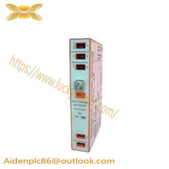 Vibro-meter VM600-ABE040 204-040-100-011