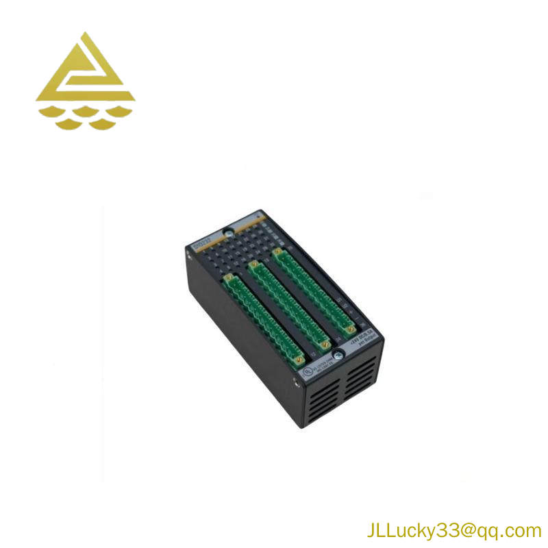 BACHMANN DI0232 Digital Input/Output Module