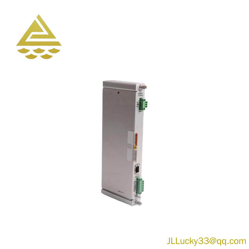 Bently Nevada 125736-01 I/O MODULE