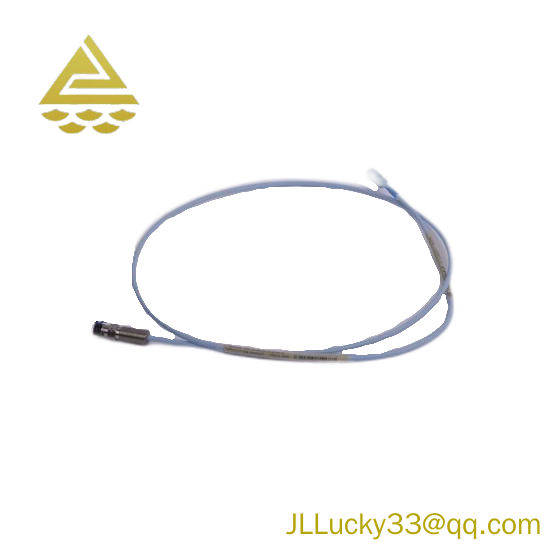 Bently Nevada 300103-A00-B09-C10-D02-E0
