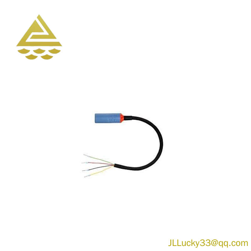 E+H CYK10-G101 Digital Measuring Cable