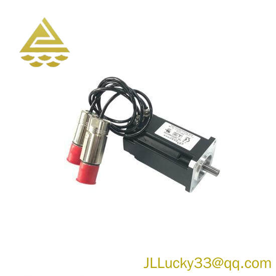 DANHER AKM22C-ANMN2-00 Servo Motor