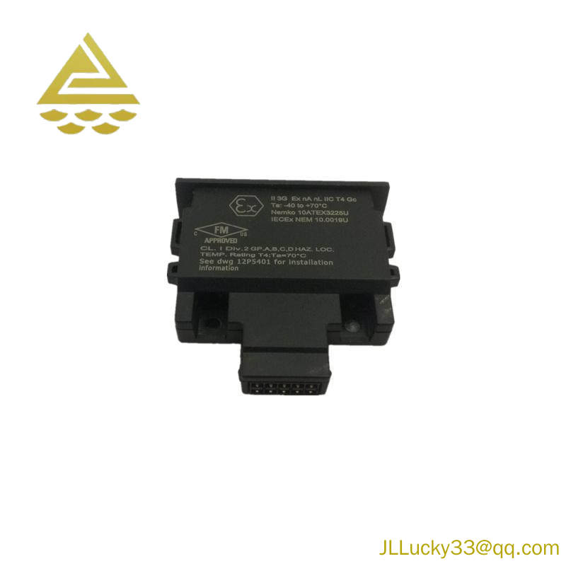 Emerson 12P4983X302 Charm Address Plug