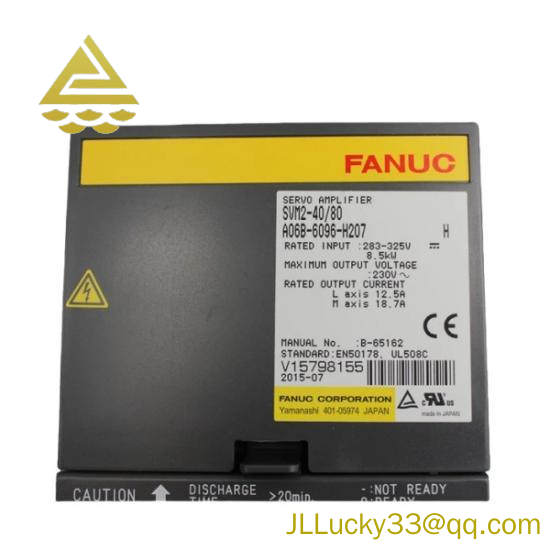 Fanuc A06B-6096-H207  GE Servo Module