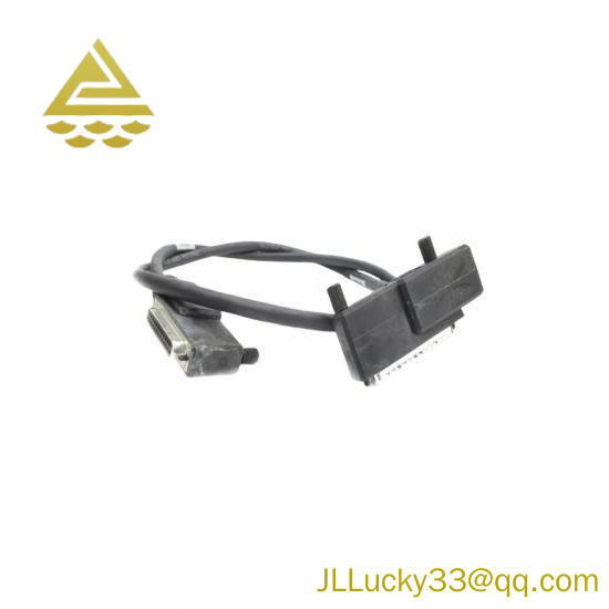 Foxboro P0916VL Termination Cable