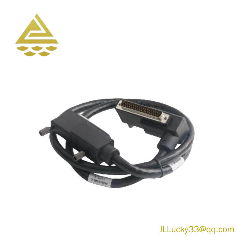 Foxboro P0916WE TERMINATION CABLE