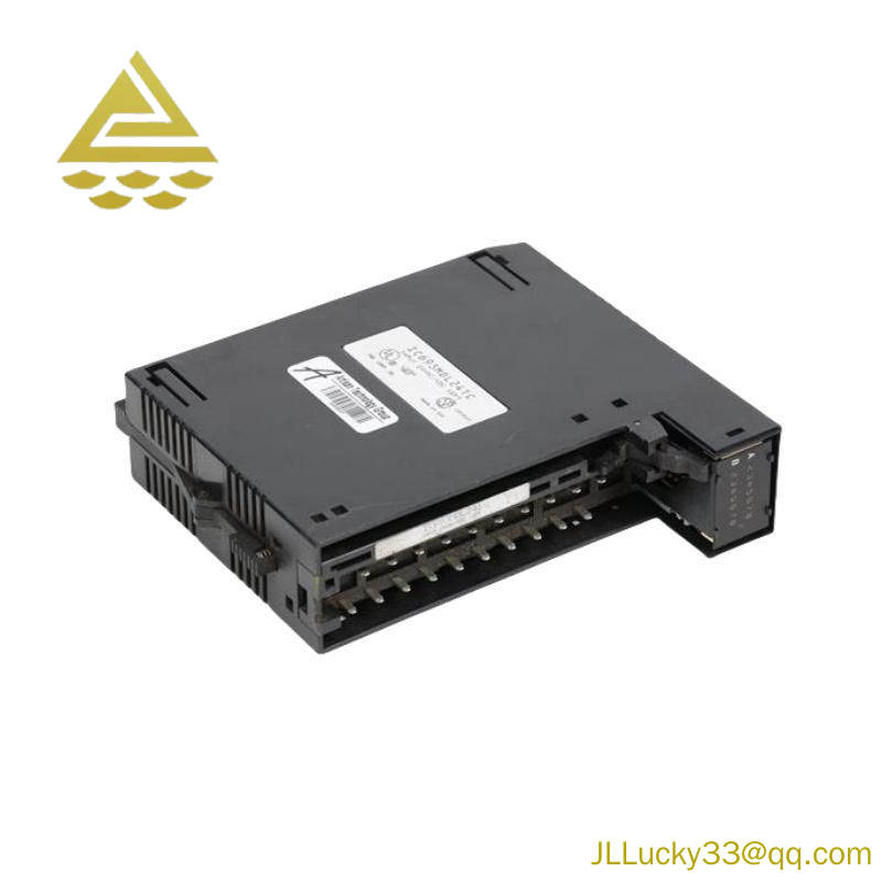 GE IC693MDL241 Positive/Negative Input module