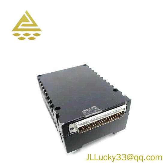 GE IS220PAICH1A Analog In/out Basic