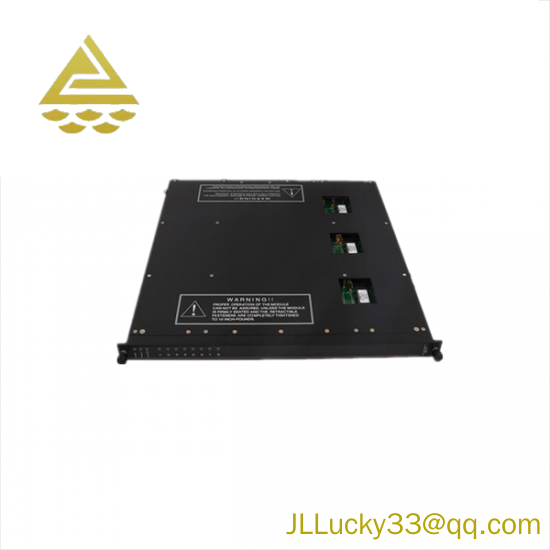 TRICONEX 9561-810