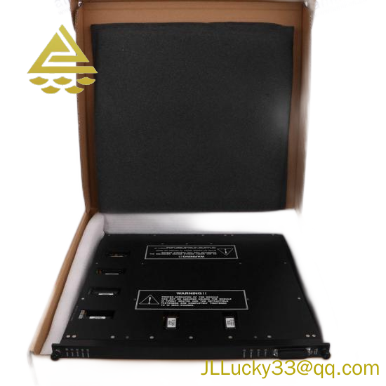 TRICONEX MA2211-100