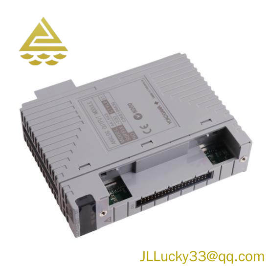 Yokogawa AAI543 Analog Output Module