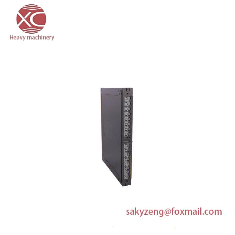 ICS TRIPLEX T811B Module