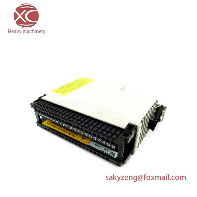 Schneider AS-BDAU-204 ANALOG OUTPUT MODULE