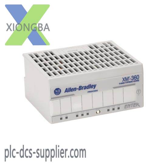 1440-TUN06-00RE Temperature Measurement Module