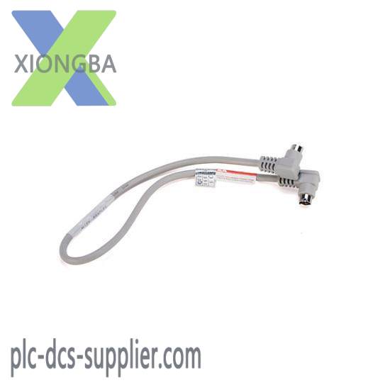 1761-CBL-AM00 Cable