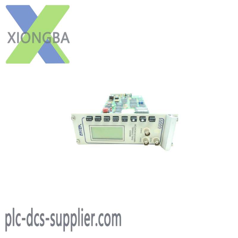 Entek 6622LS Dual Channel Vibration Monitor