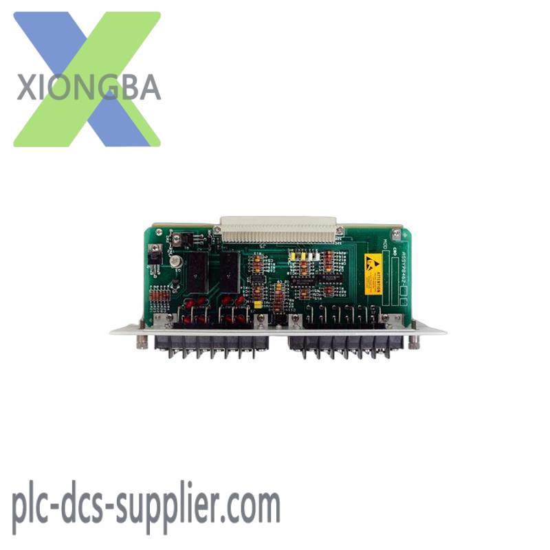 ACUITY IMAGING INC 070-200000