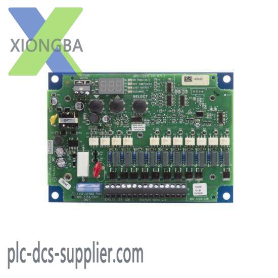 AMETEK DNC–T2010–R20 AC Input