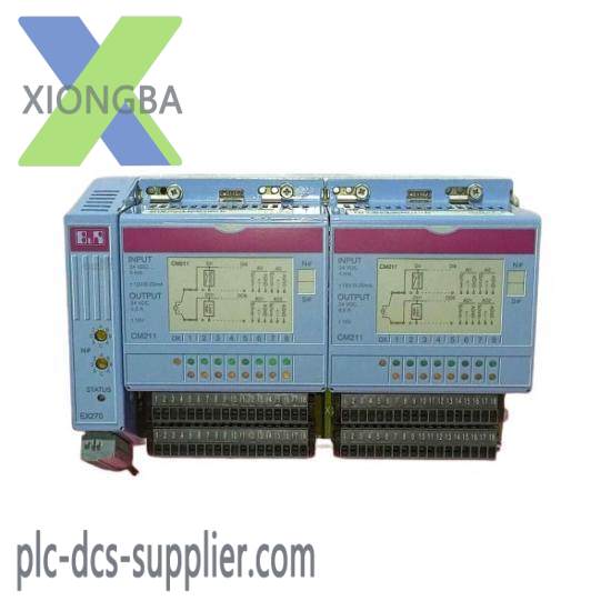 B&R 2CP100.60-1