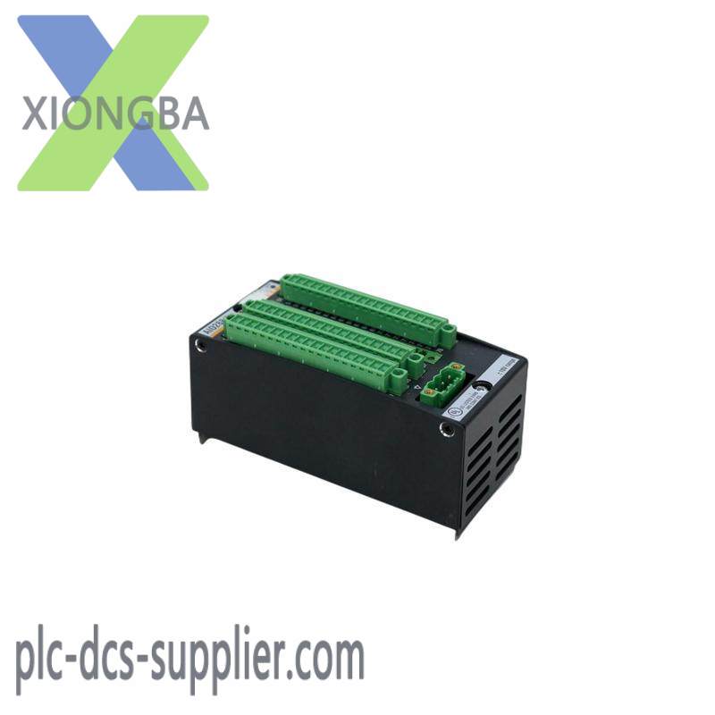Bachmann AIO288/1 ANALOG MODULE