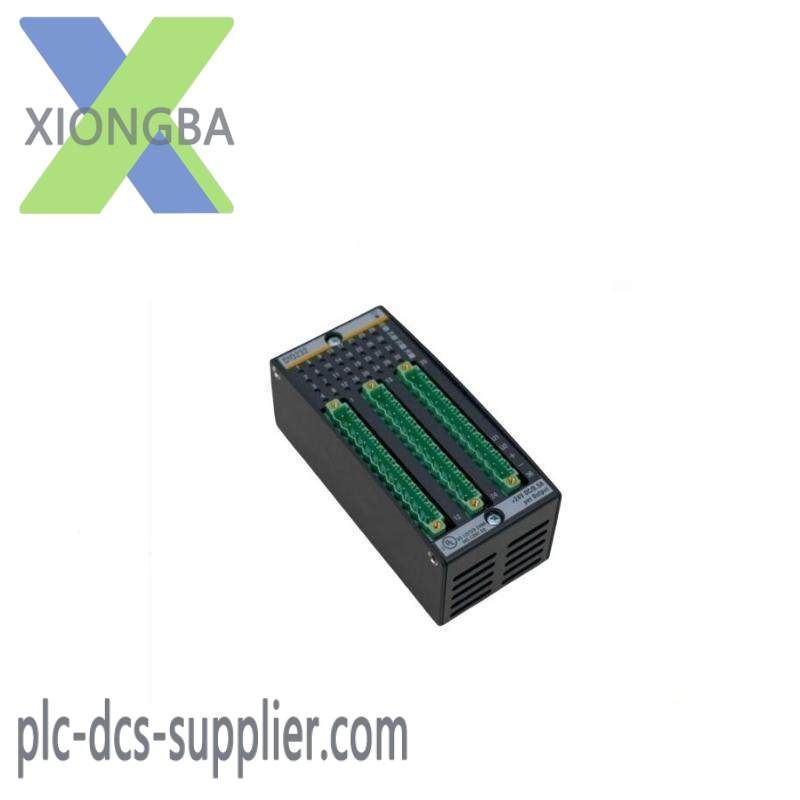 BACHMANN DI0232 Digital Input/Output Module