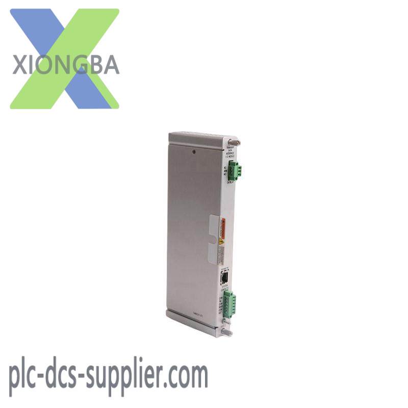 Bently Nevada 125736-01 I/O MODULE