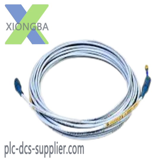 Bently Nevada 22811-01-06-10-02