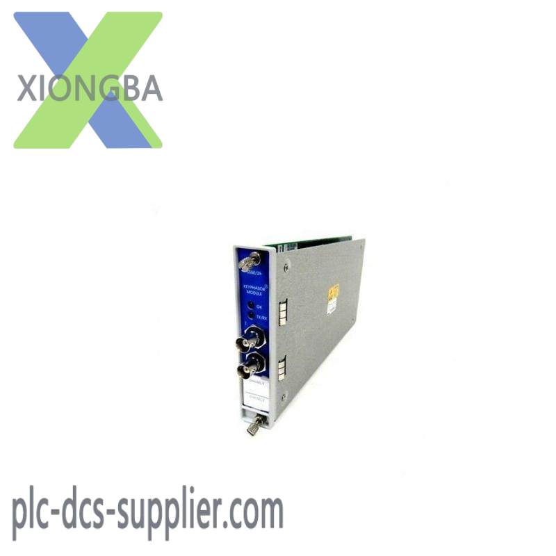 BENTLY NEVADA 3500/22M 138607-01 Transient Date Interface Module