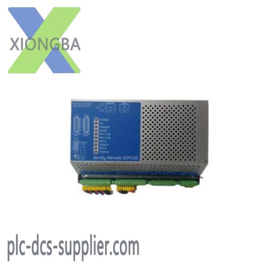 BENTLY NEVADA 60M100-00 Module