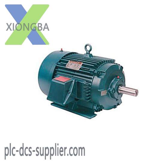 CM202 Motor