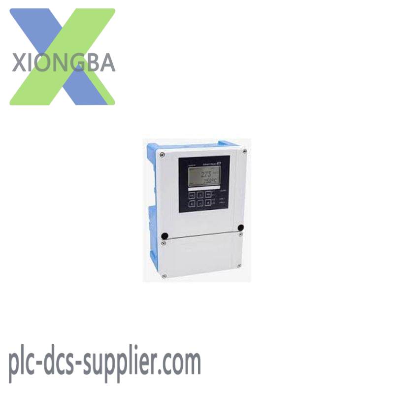 E+H COM253-WX0005 Dissolved Oxygen Measurement