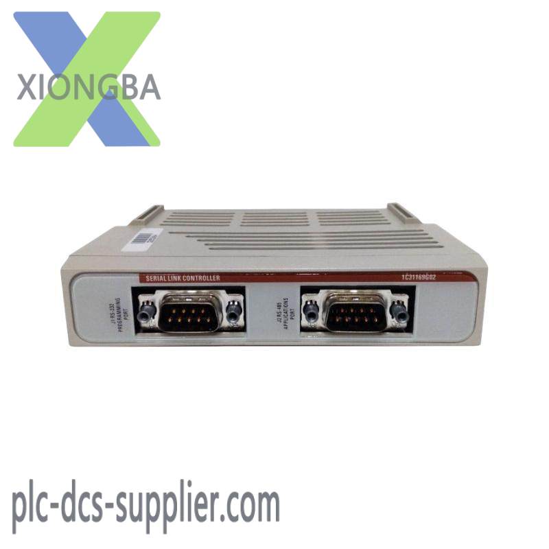   1C31169G02